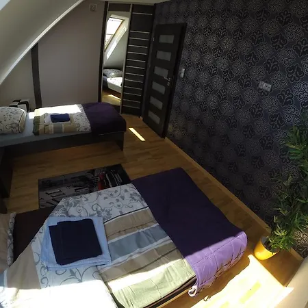 Apartament City アパート